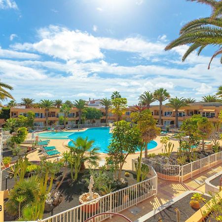 Apartmán Hola Bent Pool And Terrace Irent Fuerteventura Corralejo Exteriér fotografie